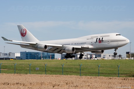 Japan Airlines - JAL | JA8086